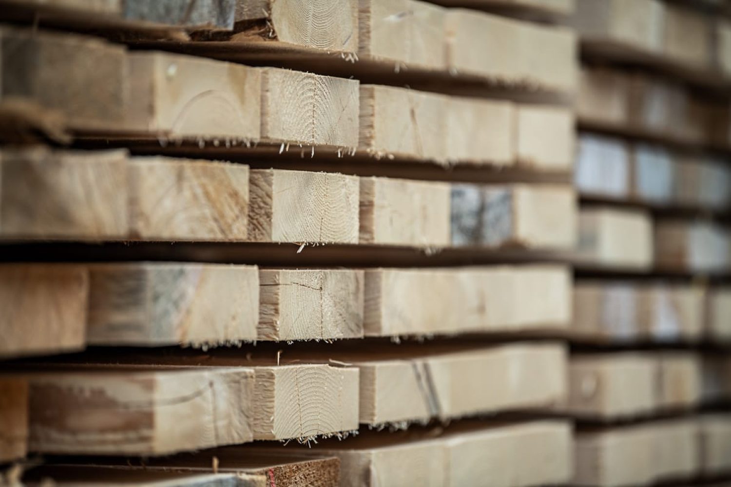 GRHolz_AMMANN_20230913-149