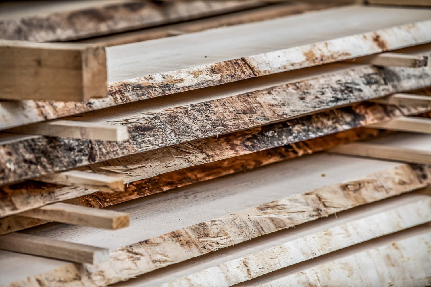 GRHolz_AMMANN_20230913-163