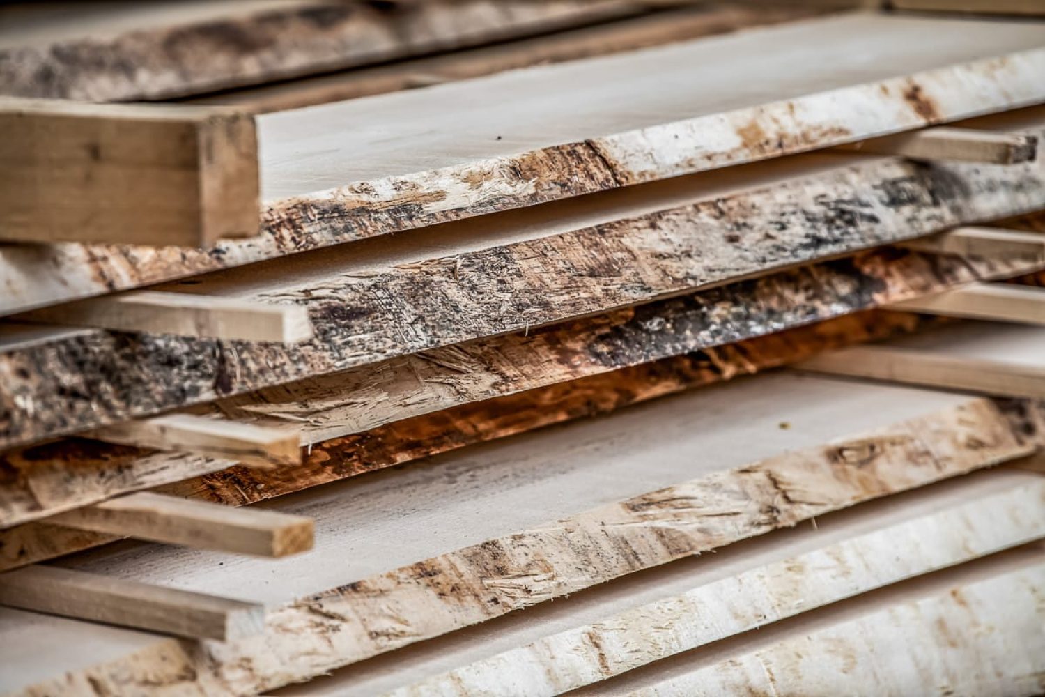 GRHolz_AMMANN_20230913-163