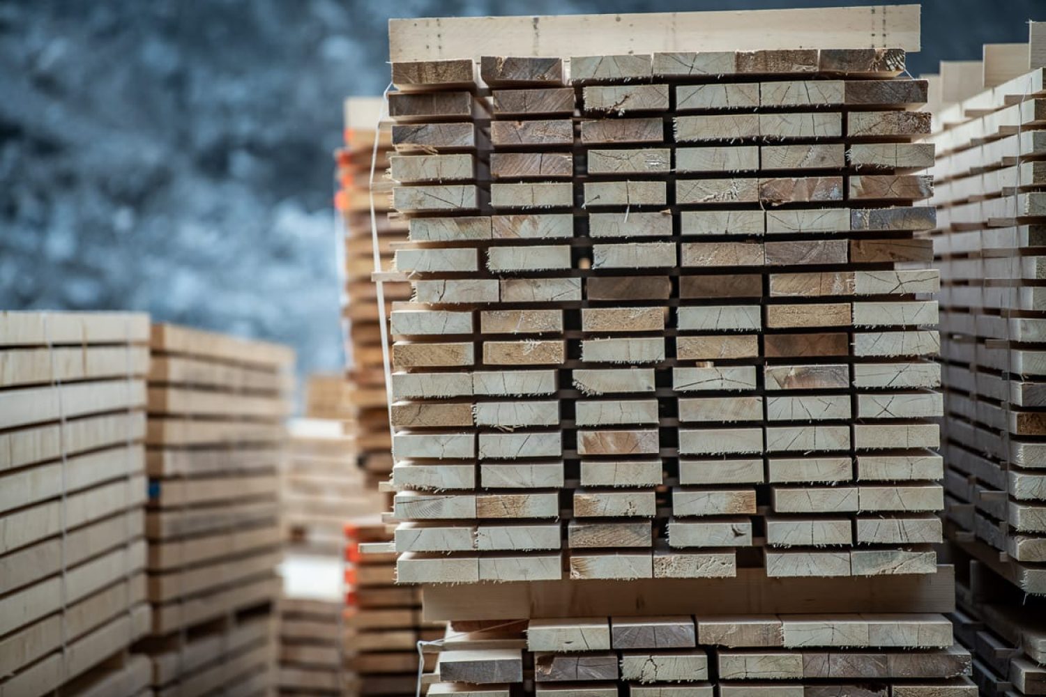 GRHolz_AMMANN_20230913-5