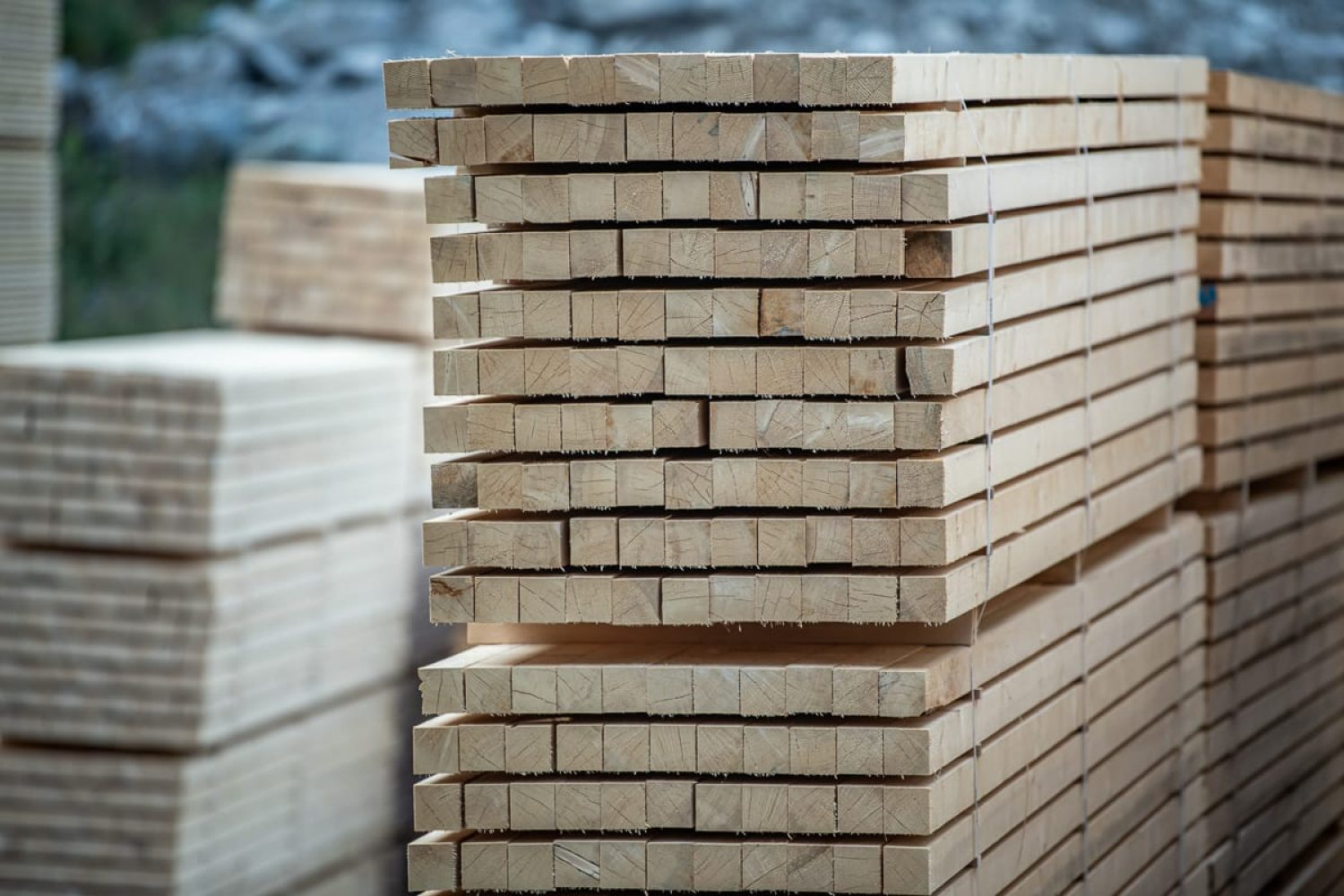 GRHolz_AMMANN_20230913-6