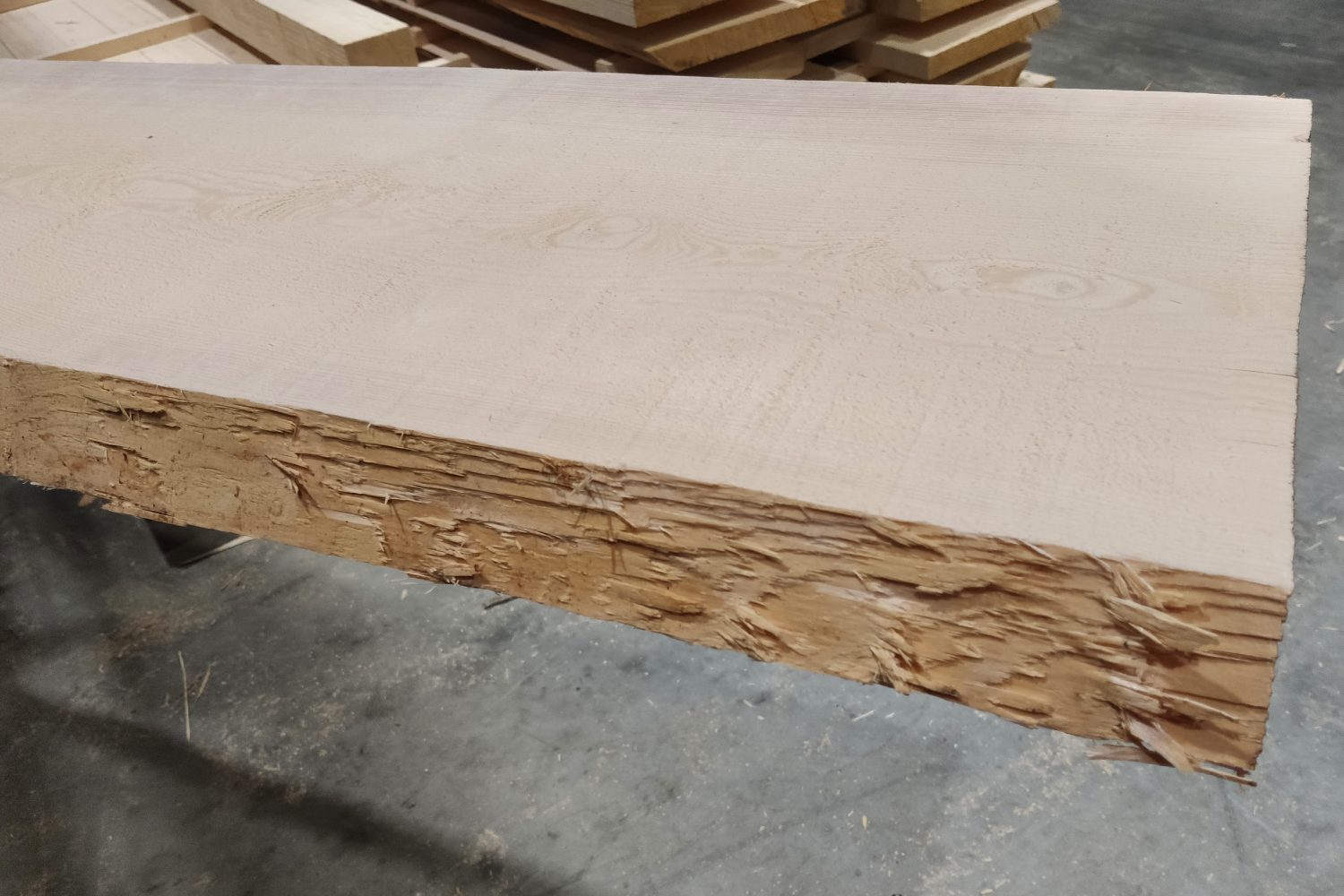 Klotzbretter_1742903823765_2400x1600