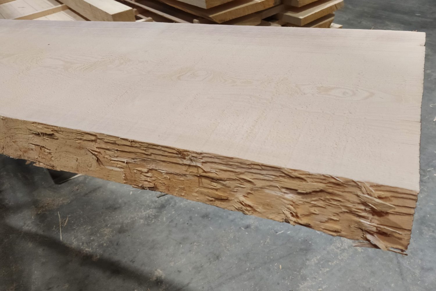 Klotzbretter_1742903823765_2400x1600